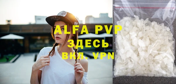 сатива Беломорск