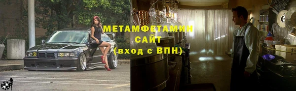 сатива Беломорск