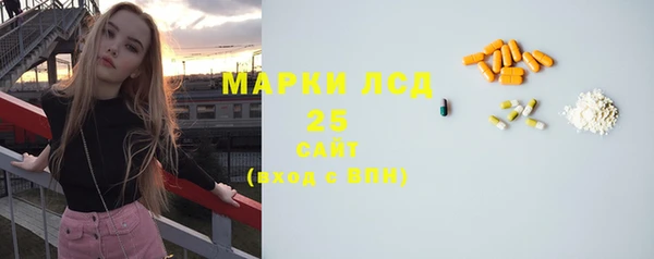 ПСИЛОЦИБИНОВЫЕ ГРИБЫ Белоозёрский