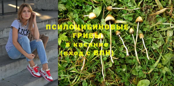 ПСИЛОЦИБИНОВЫЕ ГРИБЫ Белоозёрский