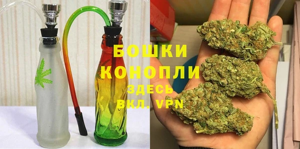 сатива Беломорск