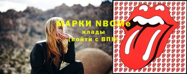 сатива Беломорск
