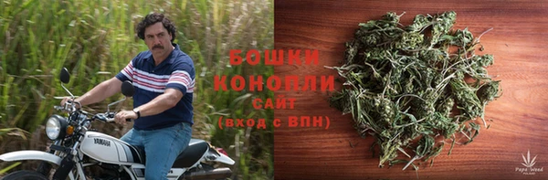 сатива Беломорск
