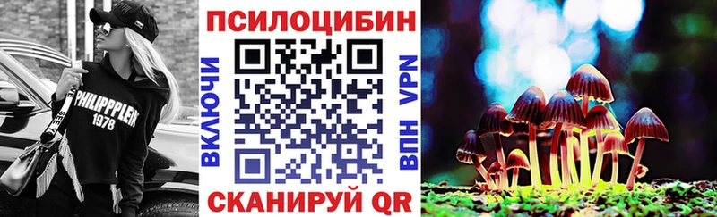 цены   кракен   Псилоцибиновые грибы Psilocybe  Заозёрск 
